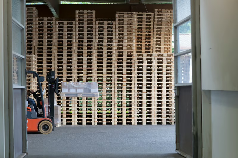 Illustrative close-up of Euro-format timber pallet deck boards; no brand or treatment markings are visible in this image.